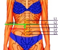 Where to measure your waist