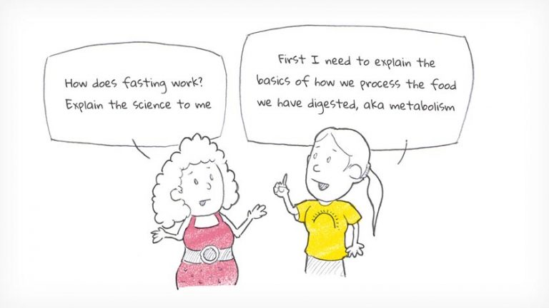 How does fasting work? Explain the science to me. First I need to explain the basics of how we process food we have digested.